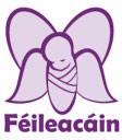 Stillbirth and Neonatal Association of Ireland / Feileacain logo